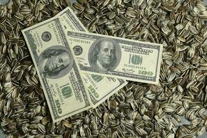 Dollar Banknoten und Sonnenblume Samen, ölhaltig Ware Wert Konzept. foto