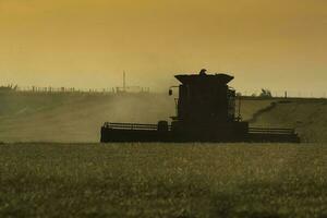 Mähdrescher Maschine, Ernte im das Argentinien Landschaft, Buenos Aires Provinz, Argentinien. foto