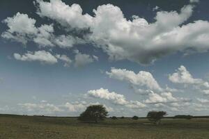 Argentinien Pampas Landschaft, mit wolkig Himmel foto