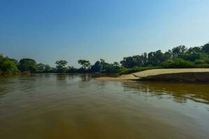 pantanal Wald Ökosystem, mato Grosso, Brasilien foto