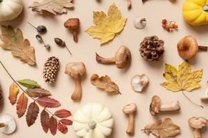 Kürbis, Pilze und Herbst Blätter auf Beige Hintergrund. Herbst immer noch Leben foto