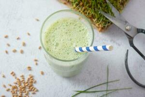 Smoothie mit Mikrogrün und spross mikrogrün Weizen Sprossen und Samen. gesund Essen Konzept foto