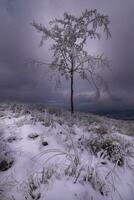 bergblick auf die winterlandschaft foto