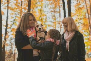 Oma und Mutter mit Enkelin haben Spaß mit Hund im Herbst Jahreszeit. Generation, Freizeit und Familie Konzept foto