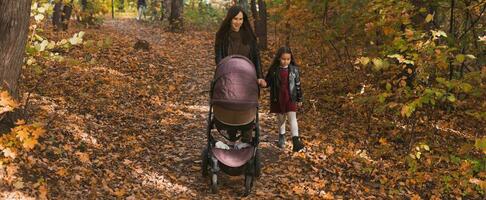 Banner Mutter und ihr wenig Tochter und ein Baby im Kinderwagen auf gehen im Herbst Holz Kopieren Raum foto