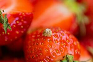 Makro Foto von wenig Schnecke auf oben von rot appetitlich Erdbeere
