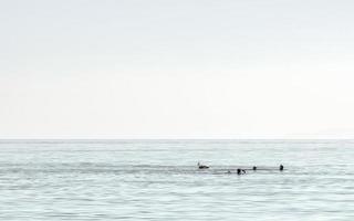 Drei Taucher sprechen miteinander mit Handzeichen. drei nicht wiederzuerkennende Menschen auf dem Meer, die zusammen tauchen. foto