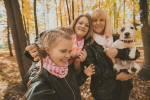 drei Generationen von Frauen und Hund Gefühl Spaß aussehen beim Kamera posieren zum Selbstporträt Bild zusammen, komisch aufgeregt Kind, Mama und Oma haben Spaß genießen Wochenende nehmen Selfie auf Gadget im Herbst foto