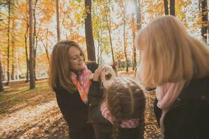 Oma und Mutter mit Enkelin haben Spaß mit Hund im Herbst Jahreszeit. Generation, Freizeit und Familie Konzept foto