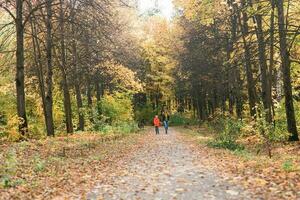 Mutter und Sohn Gehen im das fallen Park und genießen das schön Herbst Natur. Jahreszeit, Single Elternteil und Kinder Konzept. foto