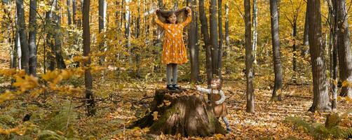 Banner wenig Kinder Mädchen mit Herbst Orange Blätter im ein Park Kopieren Raum. Lebensstil, fallen Jahreszeit und Kinder Konzept. foto