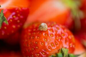 Makro Foto von wenig Schnecke auf oben von rot appetitlich Erdbeere