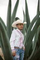 Mexikaner Cowboy, Agave Pflanzen, Natur Schönheit, Sonnenbrille, Kleinkind, fesselnd Landschaft foto