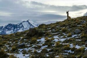 torres del paine National Park Landschaft, Patagonien, Chile. foto