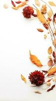 Herbst Blätter Hintergrund. Herbst Komposition getrocknet Blumen und Blätter auf Weiß. ai generiert foto