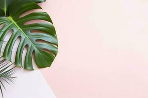 Hintergrund mit Blätter. tropisch Blätter Monstera auf Weiß und Rosa Pastell- Hintergrund. ai generiert foto