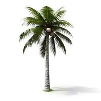 Kokosnuss Palme Baum isoliert auf Weiß Hintergrund. generativ ai foto
