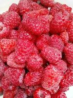 viele von Himbeeren foto