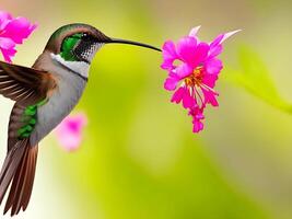 summend Vogel Grün fliegend ai generiert foto