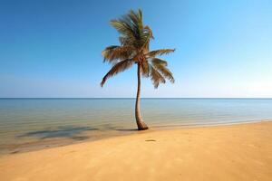 Palme Baum auf ein leeren Strand Fotografie generativ ai foto