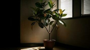 Luft Reinigung Baum Dort ist natürlich Licht von das Fenster. Dort ist ein undurchsichtig Hintergrund im das Hintergrund. , generativ ai foto