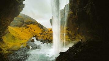 weiblich Tourist gehen auf Weg Besuch berühmt kvernufoos Wasserfall Wahrzeichen. Gelb Gras Hügel auf kvernufoss Wasserfall. majestätisch Sommer- Aussicht von rein Wasser Fluss im Island, Europa foto