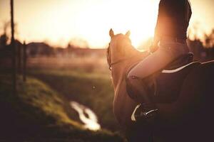 Pferd Fahrer beim Sonnenuntergang. Pferdesport Thema. foto