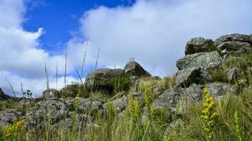 Quebrada del Condorito National Park, Cordoba Provinz, Argentinien foto