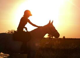 das Silhouette von ein Pferd Fahrer klopfen ihr Pferd gegen das Hintergrund von Sonnenuntergang. foto
