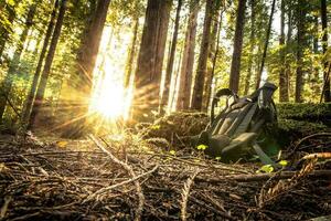 Wanderer Rucksack im Wald foto