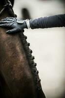 Fahrer streicheln das Pferd Hals Nahansicht foto
