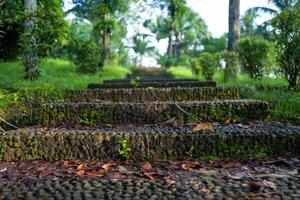 Natur im Borobudur-Tempel sind aof Yogyakarta foto