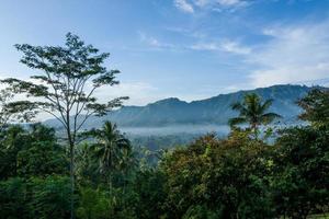 Natur im Borobudur-Tempel sind aof Yogyakarta foto