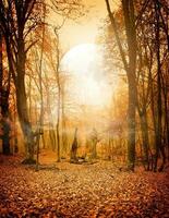 Herbst Wald und das Mond foto