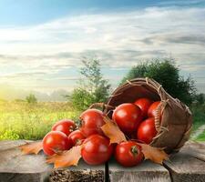 Tomaten auf dem Tisch foto