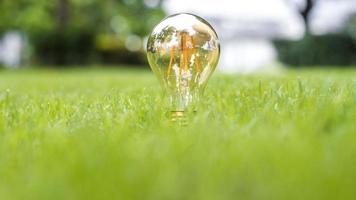 Glühbirne im grünen Gras, retten Sie das Erdkonzept foto
