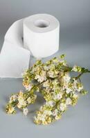 Pferd Kastanie Blumen auf ein grau Oberfläche. rollen von Toilette Papier im das Hintergrund. foto