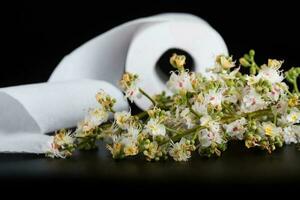 Pferd Kastanie Blumen. rollen von Toilette Papier im das Hintergrund foto