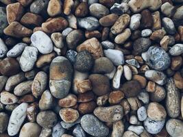 runden Steine Kieselsteine verstreut wie Hintergrund Textur foto