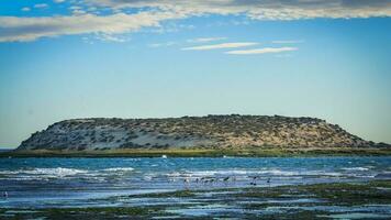 isla de los Pajaros ,Natur Reservieren, Halbinsel Valdes, Argentinien foto