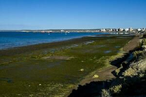 puerto madryn Stadt, Eingang Portal zu das Halbinsel Wald natürlich Reservieren, Welt Erbe Grundstück, Patagonien, Argentinien. foto