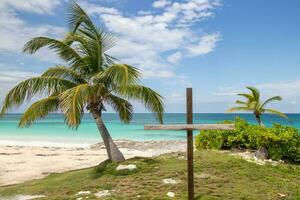 hölzern Kreuz auf das Strand foto