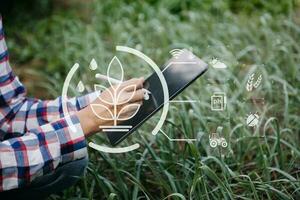 Frau übergibt Gartensalat im Bauernhof mit Wachstumsprozess und chemischer Formel auf grünem Hintergrund. mit VR-Symbol foto