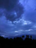 Stamm großer Baum raue Oberflächenstruktur Hintergrund Natur Pflanze Busch Bambusgras mit weißer Wolke blauer Himmel foto