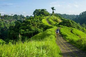 die Campuhan Gratwanderung in Ubud auf Bali foto