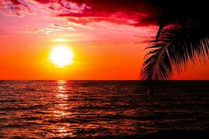 schön Sonnenuntergang mit Palme Bäume auf das tropisch Strand zum Reise und Ferien im Urlaub entspannen Zeit foto