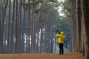 Fotograf ist nehmen Foto von das Neu entdecken Vogel Spezies während erkunden im das Kiefer Wald zum Vermessung und lokalisieren das Selten biologisch Vielfalt und Ökologe auf das Feld Studie Verwendungszweck