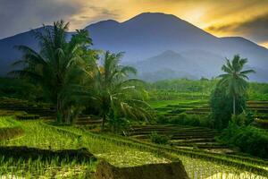 schöne Morgenansicht Indonesien Panoramalandschaft Reisfelder mit Schönheitsfarbe und natürlichem Himmelslicht foto