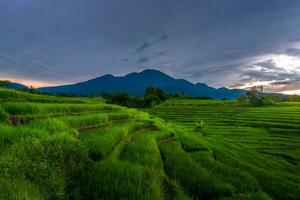 schöne Morgenansicht Indonesien Panoramalandschaft Reisfelder mit Schönheitsfarbe und natürlichem Himmelslicht foto