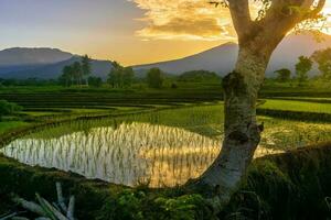 schöne Morgenansicht Indonesien Panoramalandschaft Reisfelder mit Schönheitsfarbe und natürlichem Himmelslicht foto